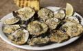 Grilled Oysters