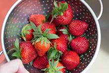 Macerated Strawberries